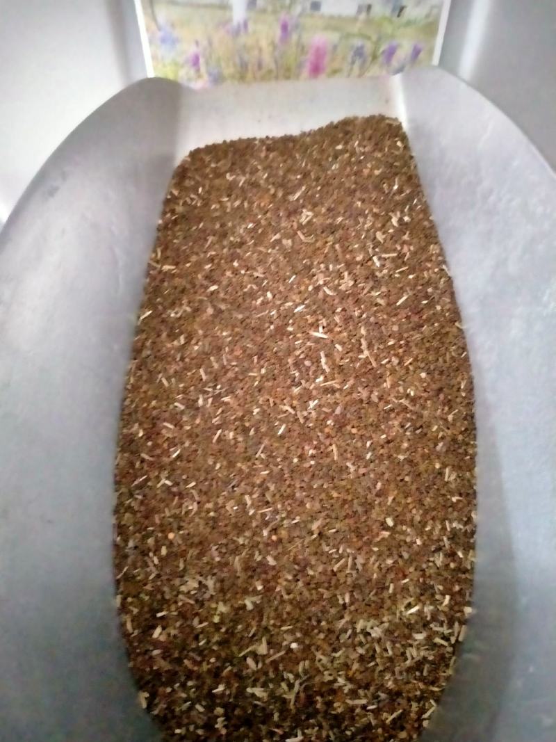 沙打旺种子多年生牧草绿肥草护坡草耐寒耐旱耐盐碱进