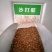 沙打旺种子多年生牧草绿肥草护坡草耐寒耐旱耐盐碱进