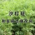 沙打旺种子多年生牧草绿肥草护坡草耐寒耐旱耐盐碱进
