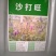 沙打旺种子多年生牧草绿肥草护坡草耐寒耐旱耐盐碱进