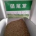多年生秋季牧草猫尾草提摩西种子孑龙猫兔子爱吃的草籽草种子