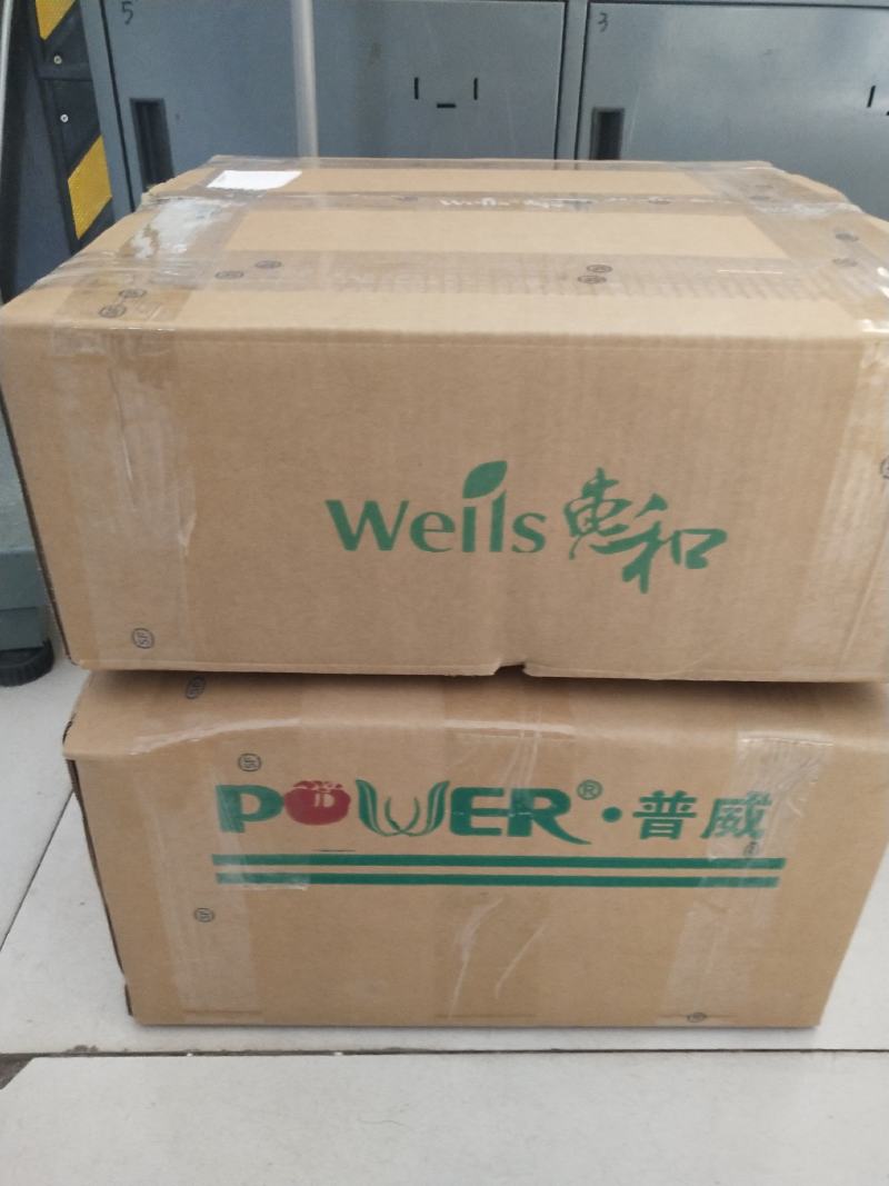 钢葱专业育种基地繁育的耐晚抽品种欢迎来电咨询