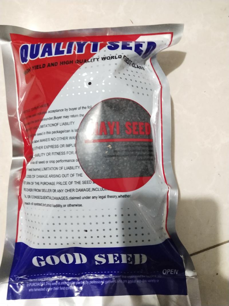 钢葱专业育种基地繁育的耐晚抽品种欢迎来电咨询