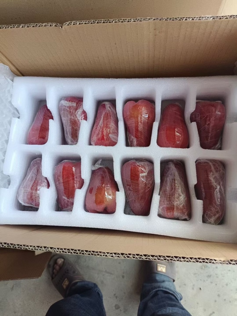顺丰空运超市直供黑金刚莲雾