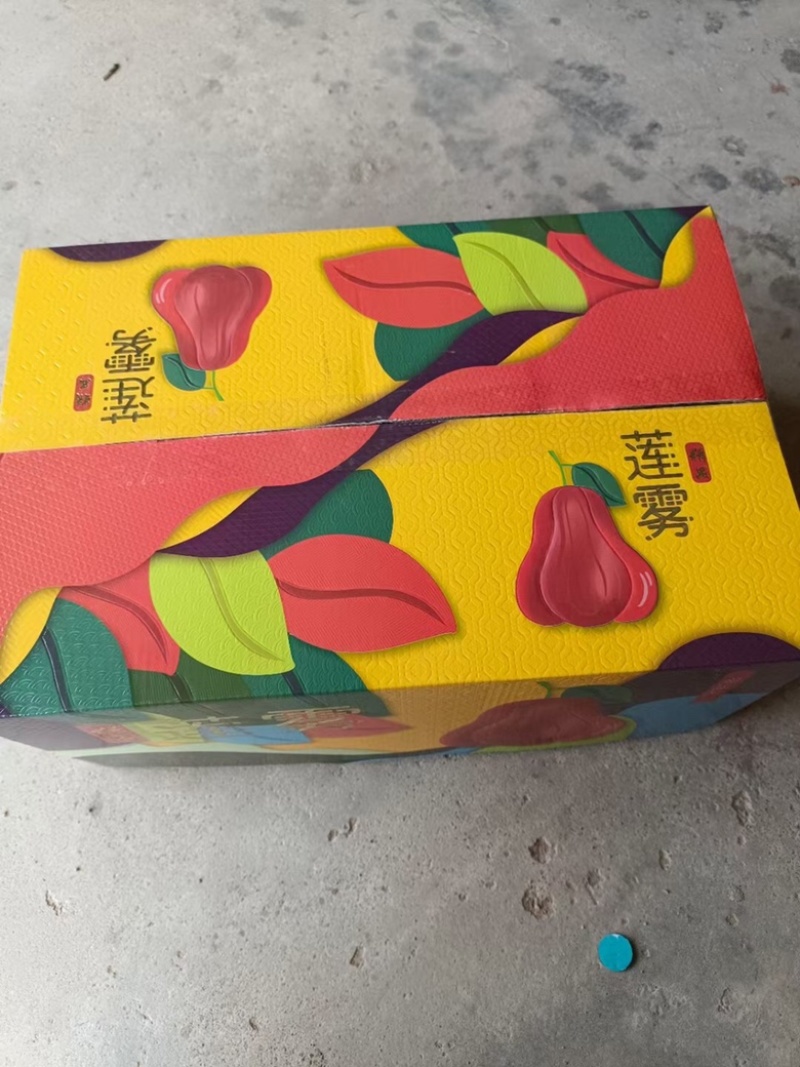 顺丰空运超市直供黑金刚莲雾