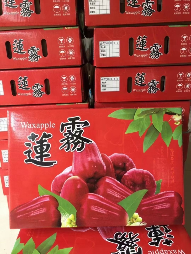 顺丰空运超市直供黑金刚莲雾