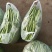 豆角