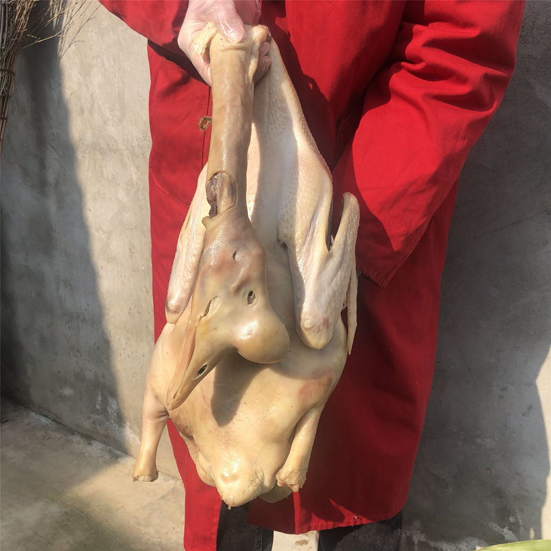 六安皖西大白鹅农家腌制腊鹅寿县特产风干鹅大包鹅年货笨白草