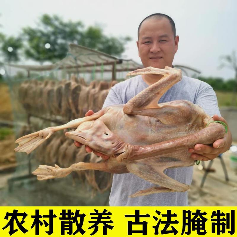 溧阳周城咸鹅农家散养鹅腌制风干鹅腊鹅安徽特产腊肉年货散养