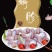 【顺丰】含冰5斤新鲜鹅胗大鹅肫批发冷冻鹅胃冷冻食品鲜鹅肫