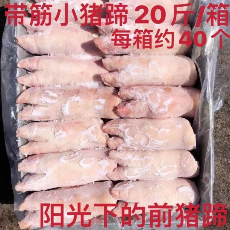 冷冻新鲜带筋小香猪爪前猪蹄生猪手烧烤毛重20斤含冰包邮