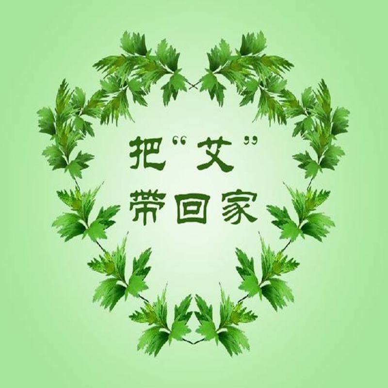 艾草艾草苗批发大叶药用蕲艾苗艾蒿苗泡脚艾灸包邮包成活