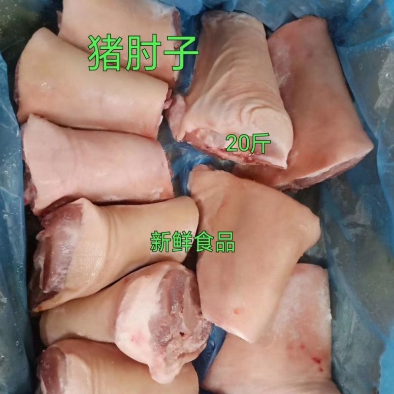 猪蹄髈猪肘子猪前肘子前蹄带冰20斤可选饭店卤菜自家吃
