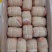 生鲜冷冻捆绑猪蹄半成品五香肘花卤菜店食材整箱20斤