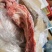20斤新鲜冷冻猪排骨猪无颈前排去颈前排小排猪前排肋排