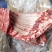20斤新鲜冷冻猪排骨猪无颈前排去颈前排小排猪前排肋排