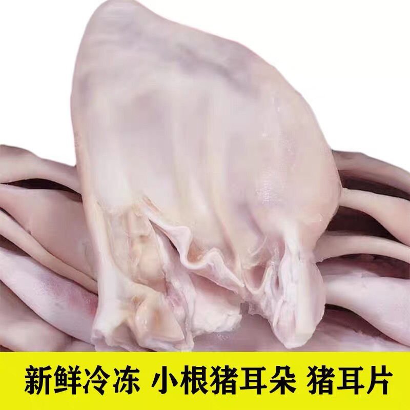 新鲜冷冻猪耳朵生猪耳带跟耳朵带箱14斤干净无毛包邮
