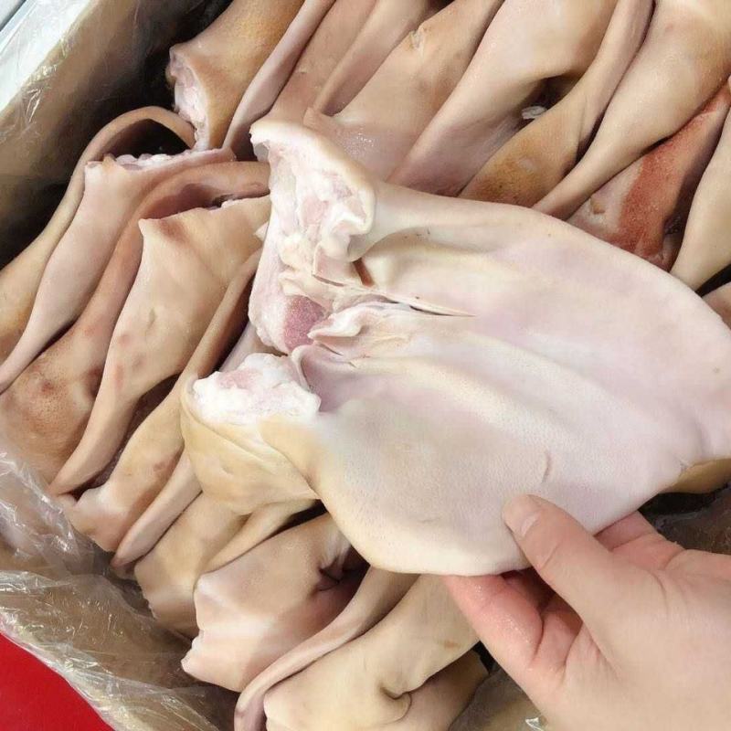 新鲜冷冻猪耳朵生猪耳带跟耳朵带箱14斤干净无毛包邮