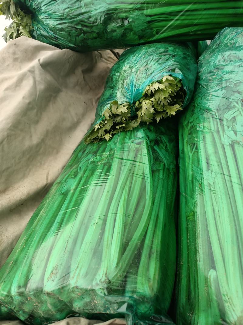 芹菜