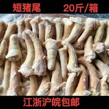 【工厂】鲜冻猪尾短尾猪尾巴小根短尾20斤