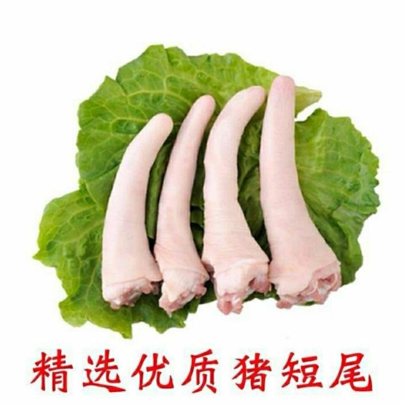 【工厂】鲜冻猪尾短尾猪尾巴小根短尾20斤