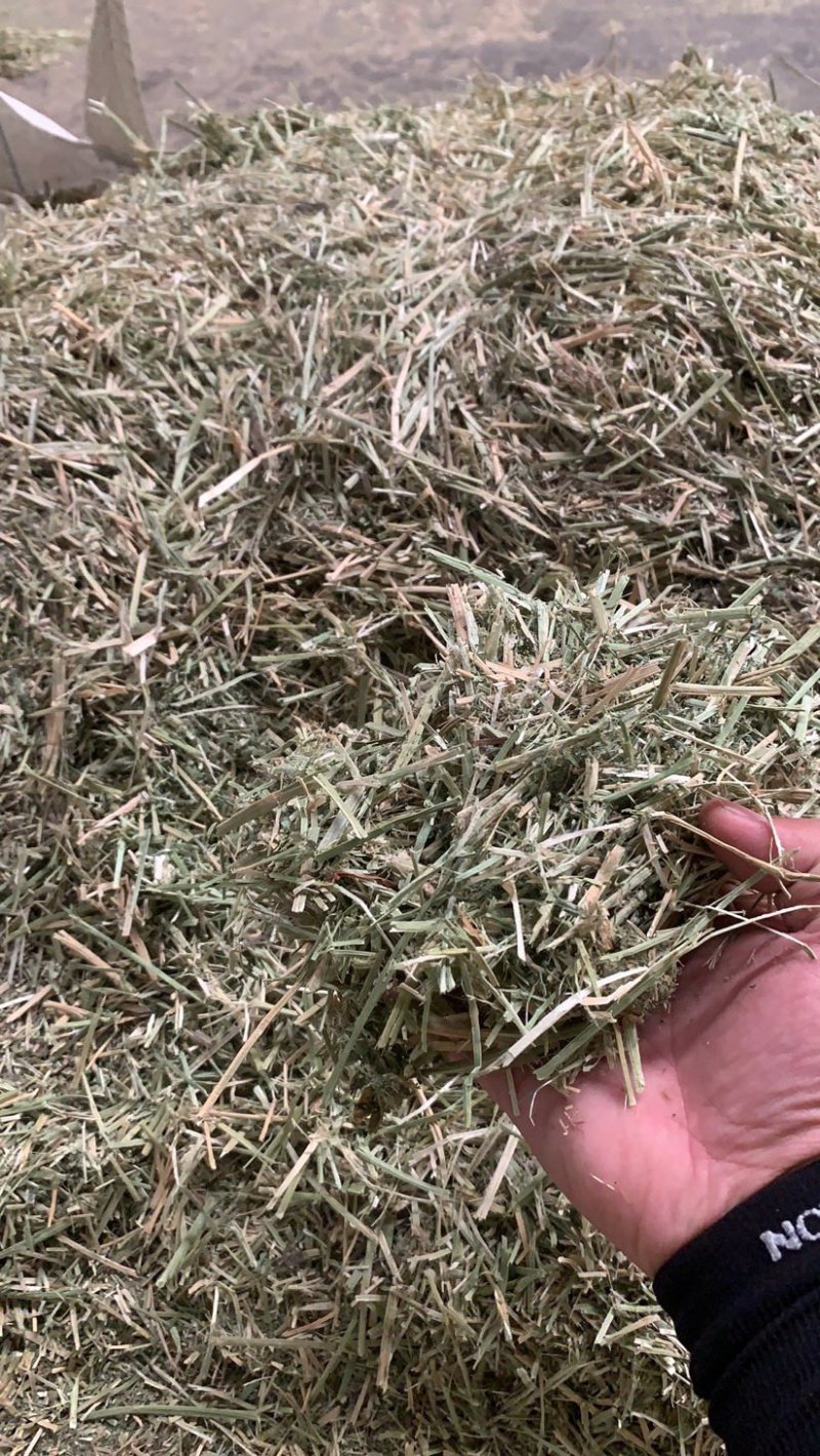进口苜蓿草，散草，寻找长期合作的朋友。