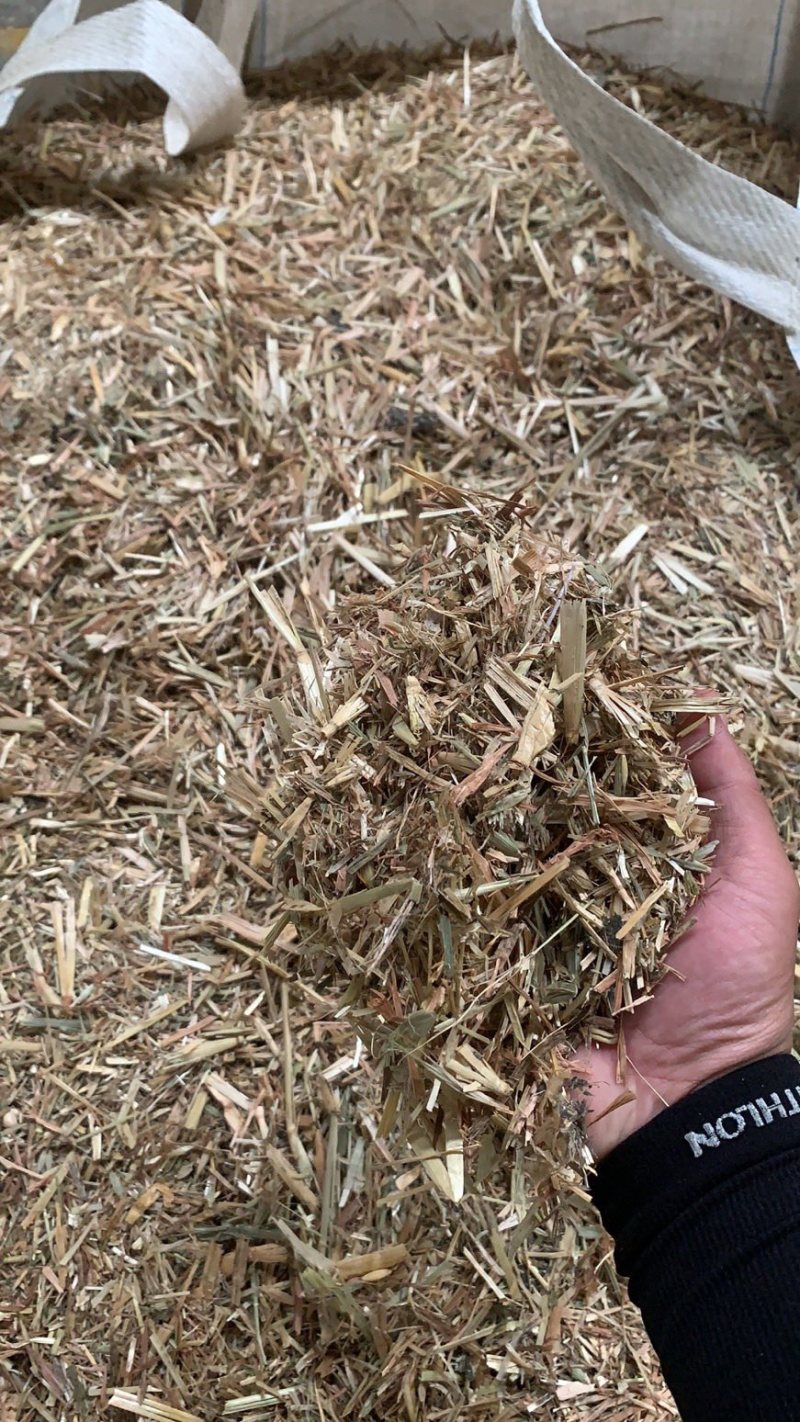 进口苜蓿草，散草，寻找长期合作的朋友。