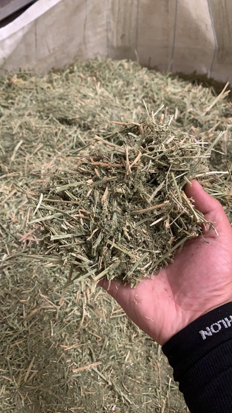 进口苜蓿草，散草，寻找长期合作的朋友。