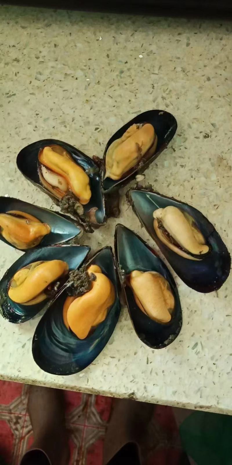 海虹