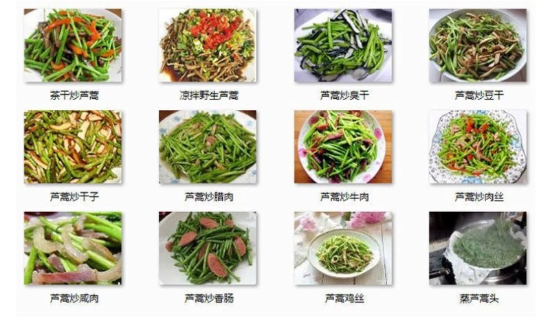 新鲜芦蒿，柳蒿，篱蒿去根带嫩叶，产地直发，欢迎来考察洽谈