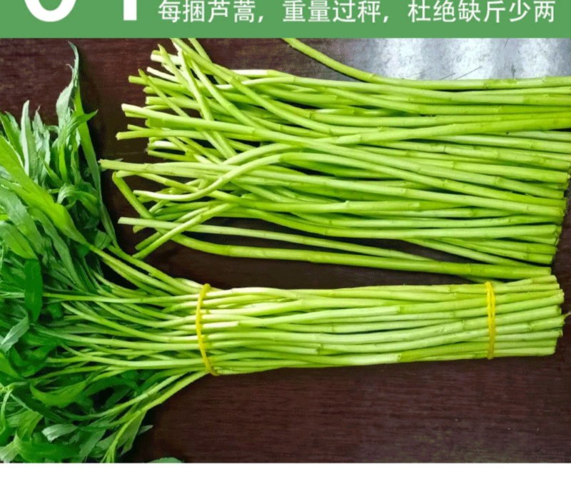 新鲜芦蒿，柳蒿，篱蒿去根带嫩叶，产地直发，欢迎来考察洽谈