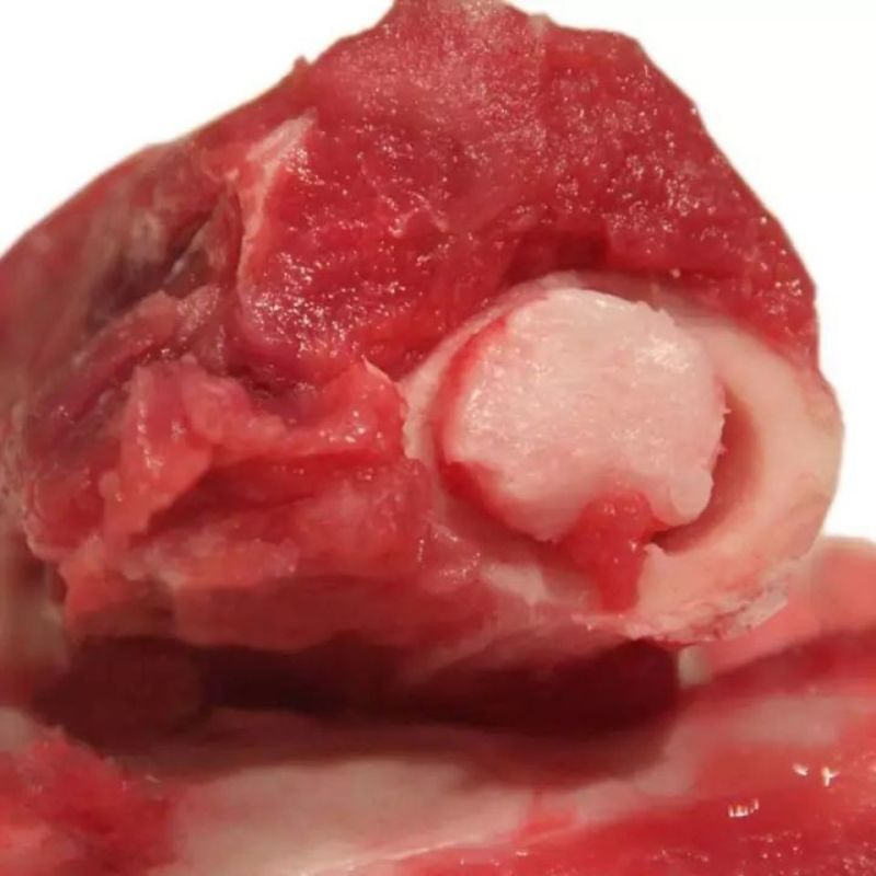 多肉筒子骨大骨头后腿骨肉棒骨18斤饭店自家吃熬汤骨髓速冻