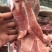 多肉筒子骨大骨头后腿骨肉棒骨18斤饭店自家吃熬汤骨髓速冻