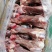 多肉筒子骨大骨头后腿骨肉棒骨18斤饭店自家吃熬汤骨髓速冻