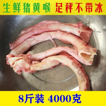 【猪黄喉鲜黄喉不泡水不漂白】猪心管喉管土猪新鲜黄喉