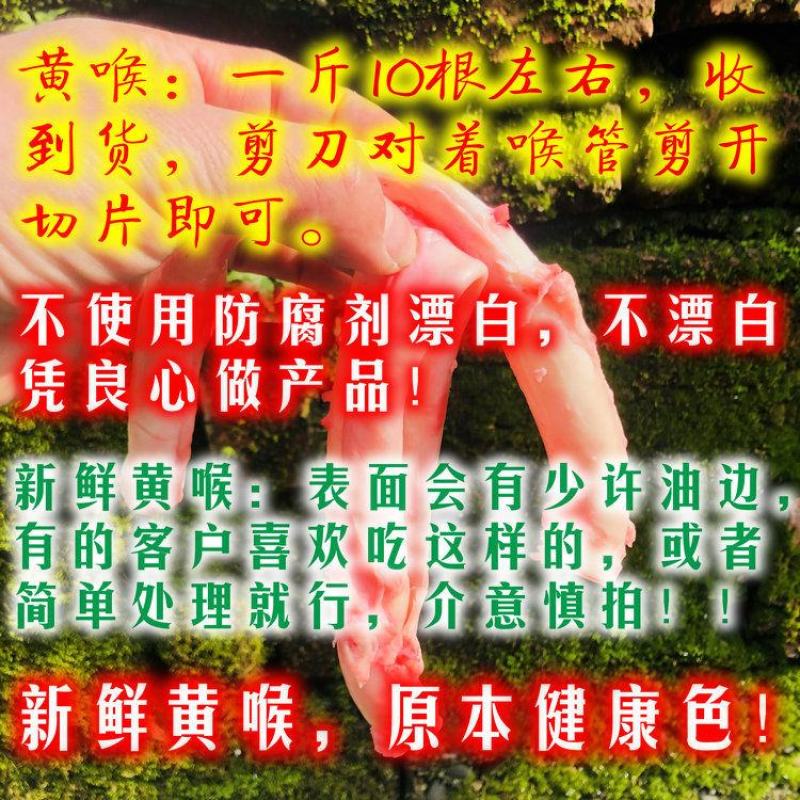 【猪黄喉鲜黄喉不泡水不漂白】猪心管喉管土猪新鲜黄喉