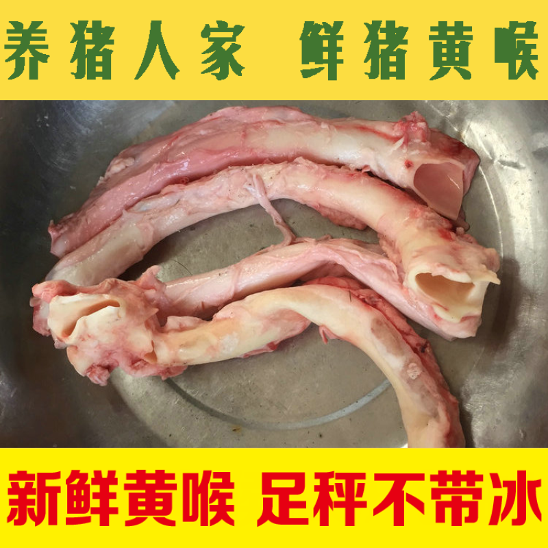 【猪黄喉鲜黄喉不泡水不漂白】猪心管喉管土猪新鲜黄喉