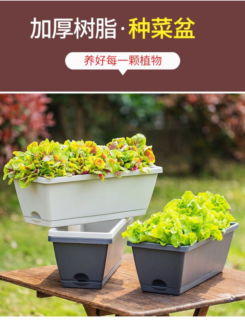 霍伦种菜盆蔬菜种植箱槽种菜长方形塑料花盆厂家特价批发零售