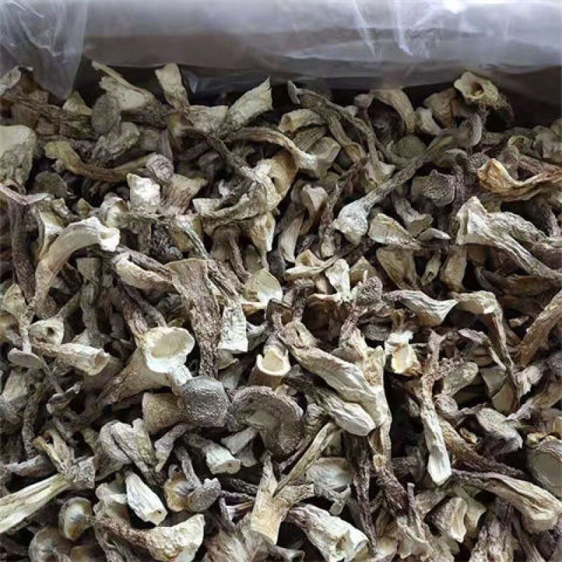 【鹿茸菇】鹿茸菌干货菌鹿茸菇干鹿茸菌菇食用菌特产