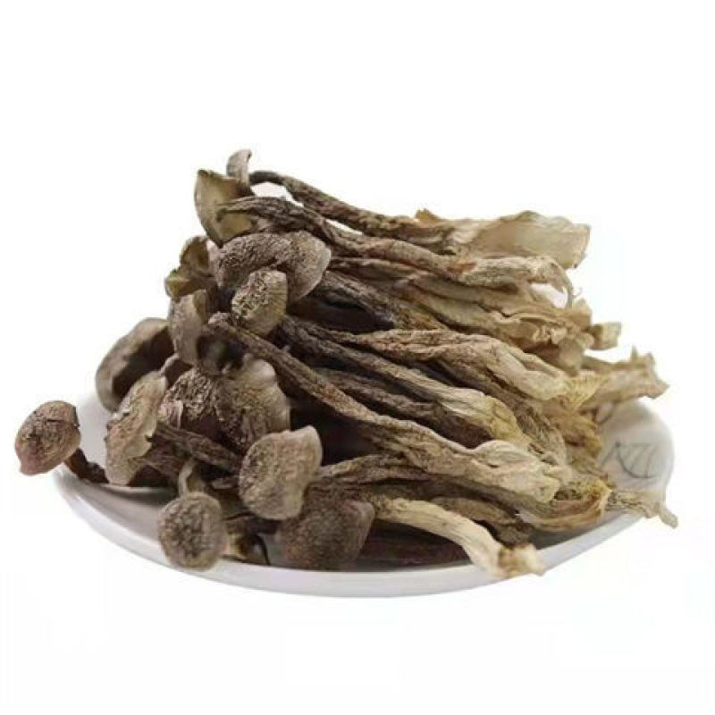 【鹿茸菇】鹿茸菌干货菌鹿茸菇干鹿茸菌菇食用菌特产