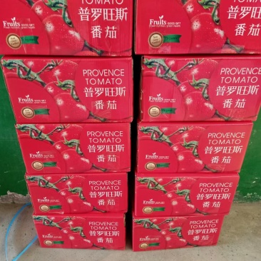 普罗旺斯水