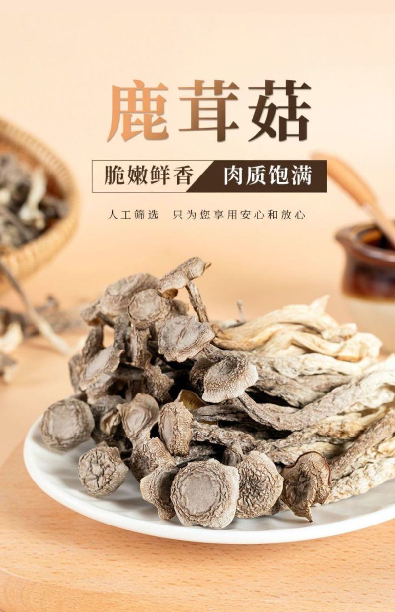 【鹿茸菇】鹿茸菌干货菌鹿茸菇干鹿茸菌菇食用菌特产
