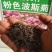 波斯菊种子花种籽格桑花四季开花易活花籽庭院外花卉野花组合