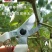日本爱丽斯ARS130DX原装进口园艺工具剪子修剪粗树枝