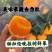 【推荐】伦晚甜橙秭归伦晚伦晚春橙入口化渣纯甜产地整车发货
