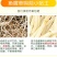 【现挖】鱼腥草新鲜嫩根折耳根湖北节儿根特产凉拌鱼腥草