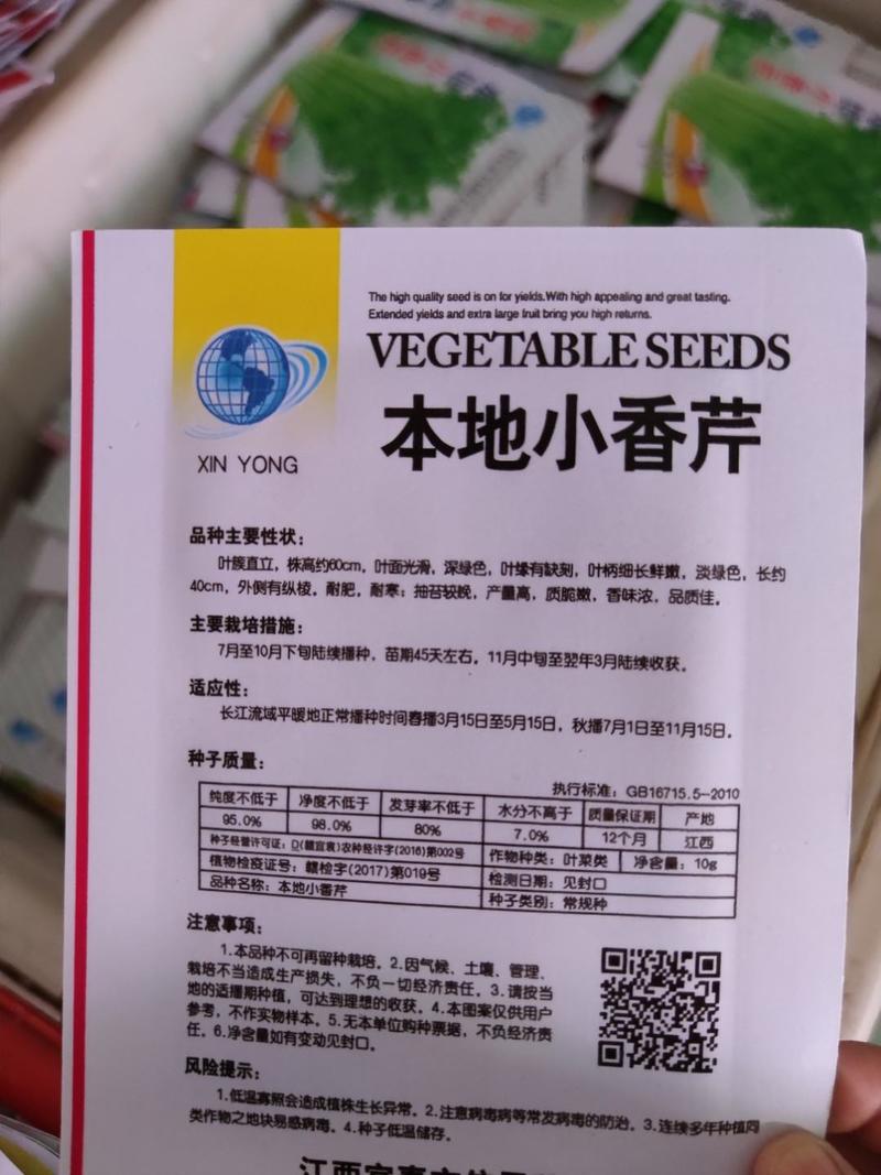小香芹芹菜种子，500克，空心味香浓