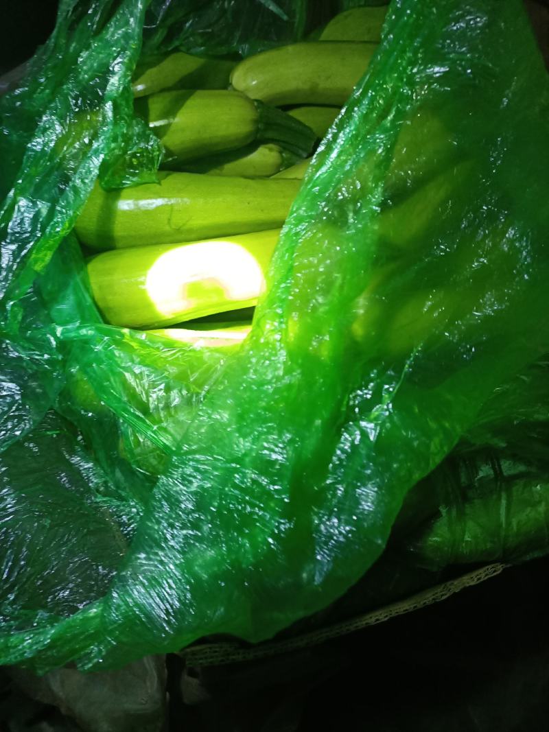 西葫芦