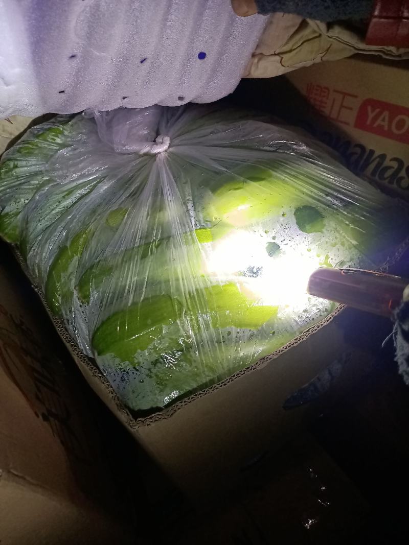 西葫芦