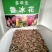 鲁冰花种子易种多年生草本羽扇豆四季花籽易活室外花种子耐寒